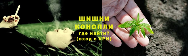 соль ск Гусиноозёрск