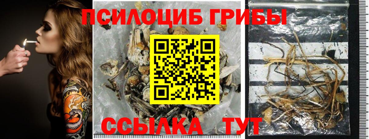 Галлюциногенные грибы GOLDEN TEACHER  Галлюциногенные грибы Psilocybe  Вход с VPN  Донской 